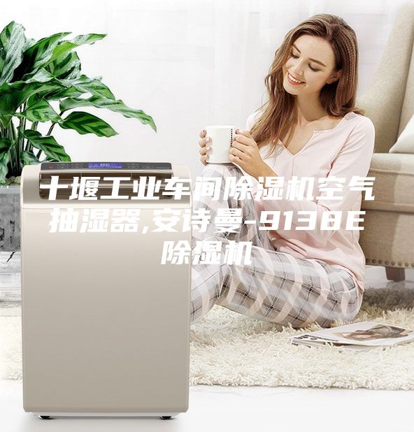 十堰工業(yè)車間除濕機空氣抽濕器,安詩曼-9138E除濕機