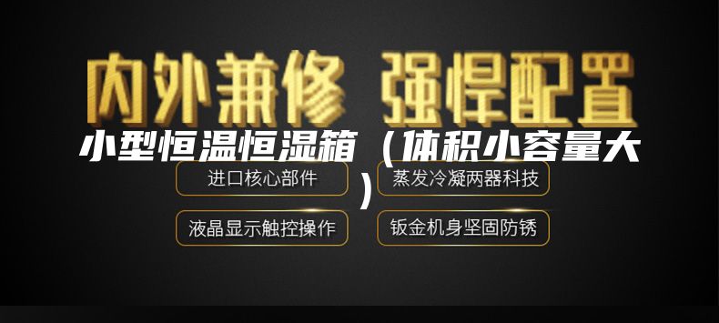 小型恒溫恒濕箱(體積小容量大)