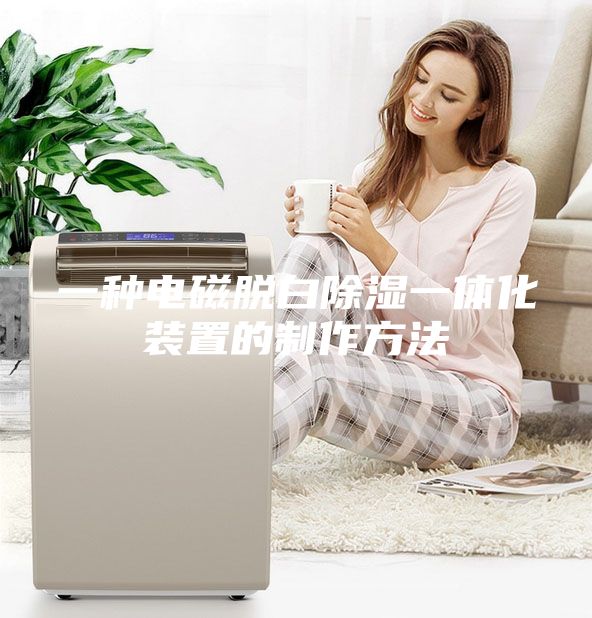 一種電磁脫白除濕一體化裝置的制作方法