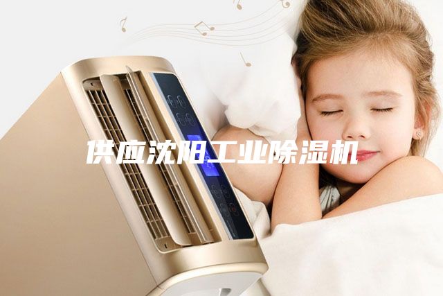 供應沈陽工業(yè)除濕機