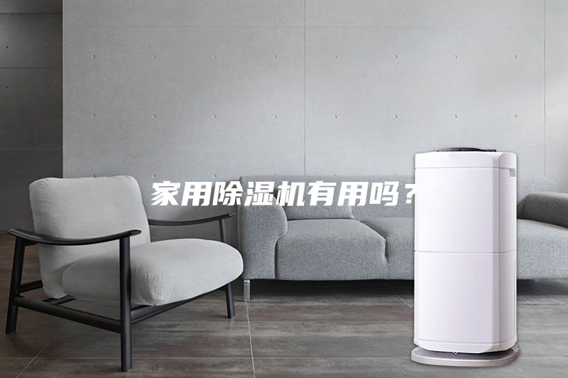 家用除濕機有用嗎？