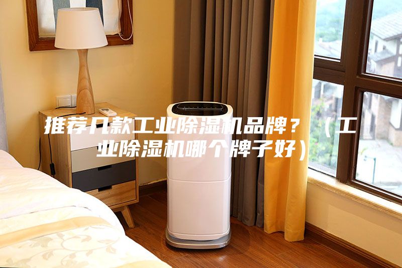 推薦幾款工業除濕機品牌？（工業除濕機哪個牌子好）