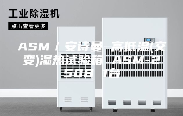 ASM／安詩(shī)曼 高低溫(交變)濕熱試驗(yàn)箱 ASM-250B 1臺(tái)