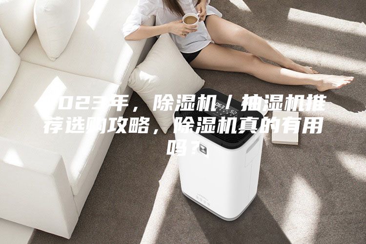 2023年，除濕機／抽濕機推薦選購攻略，除濕機真的有用嗎？