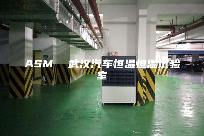 ASM  武漢汽車(chē)恒溫恒濕試驗(yàn)室