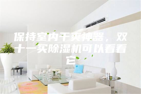 保持室內(nèi)干爽神器，雙十一買除濕機(jī)可以看看它