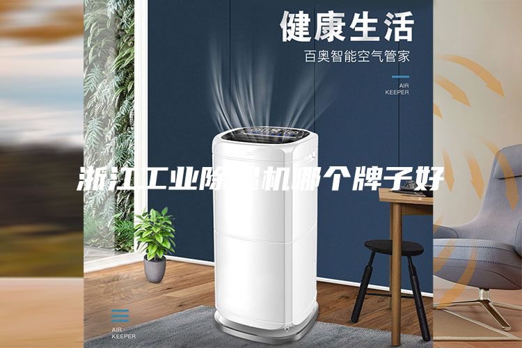 浙江工業(yè)除濕機(jī)哪個牌子好