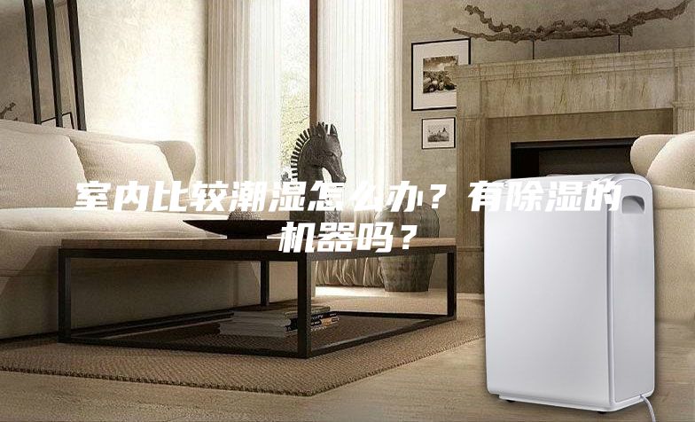 室內(nèi)比較潮濕怎么辦？有除濕的機器嗎？