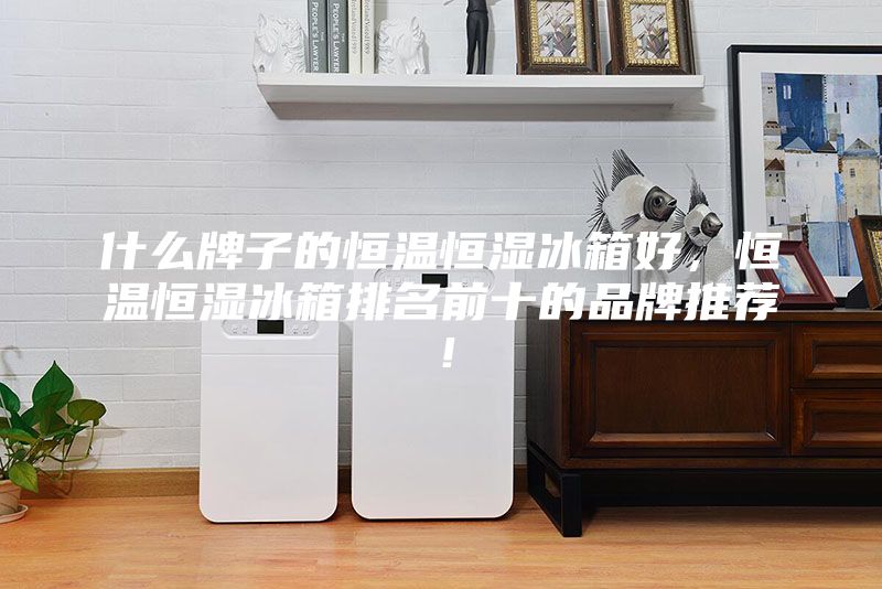 什么牌子的恒溫恒濕冰箱好，恒溫恒濕冰箱排名前十的品牌推薦！