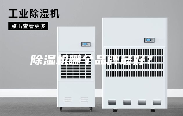 除濕機哪個品牌最好？