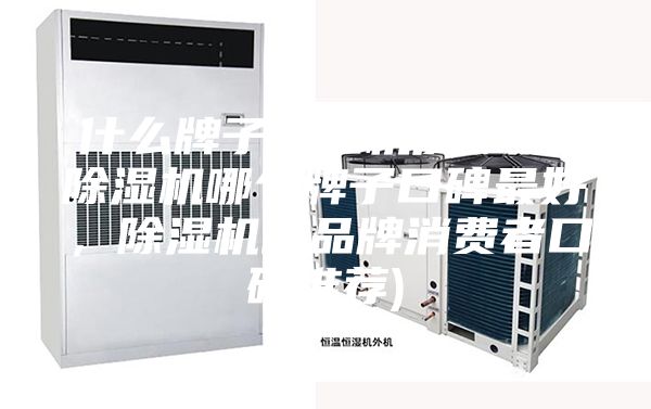 什么牌子除濕機質量好(除濕機哪個牌子口碑最好，除濕機的品牌消費者口碑推薦)