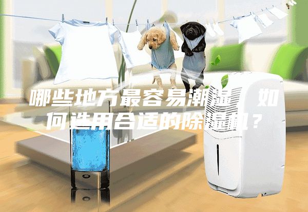 哪些地方最容易潮濕，如何選用合適的除濕機？