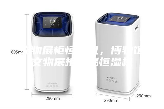 文物展柜恒濕機(jī)，博物館文物展柜恒溫恒濕機(jī)