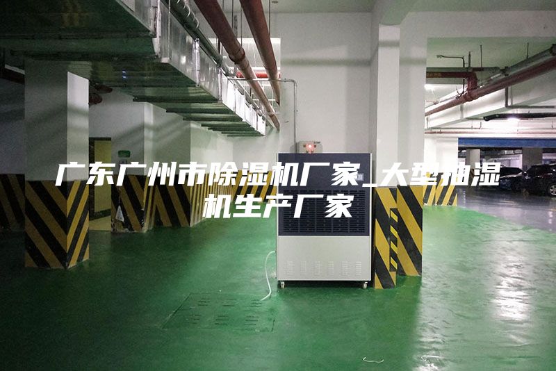 廣東廣州市除濕機(jī)廠(chǎng)家_大型抽濕機(jī)生產(chǎn)廠(chǎng)家