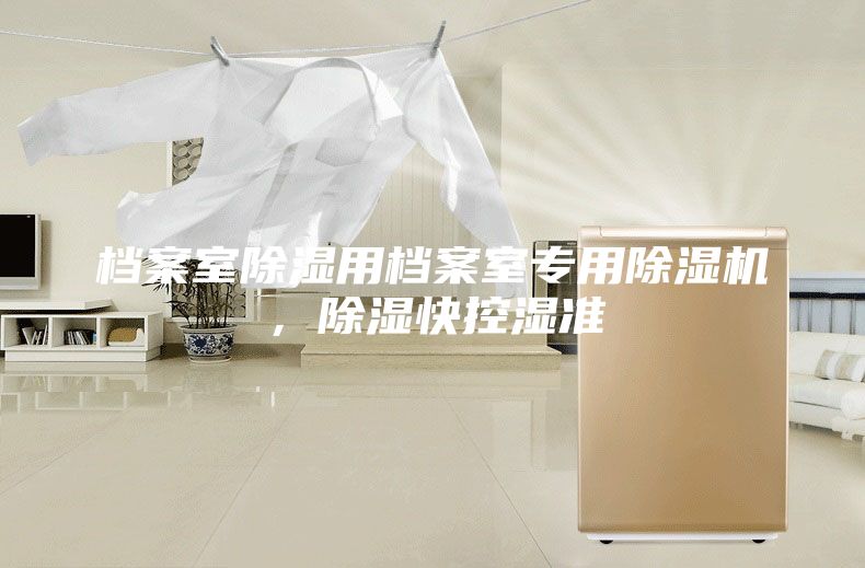 檔案室除濕用檔案室專(zhuān)用除濕機(jī)，除濕快控濕準(zhǔn)