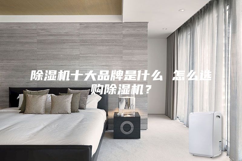 除濕機十大品牌是什么 怎么選購除濕機？