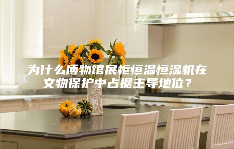為什么博物館展柜恒溫恒濕機在文物保護中占據主導地位？