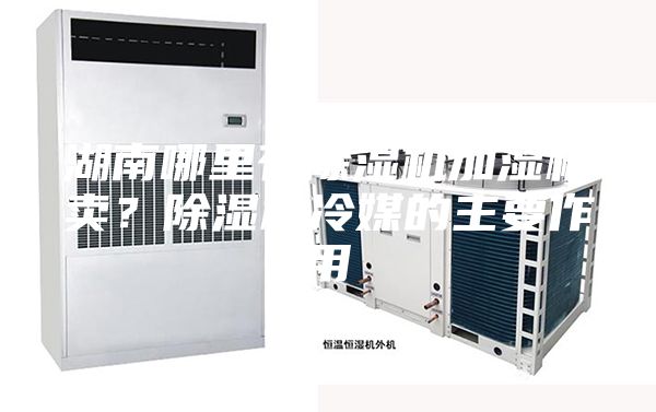 湖南哪里有除濕機加濕機賣？除濕機冷媒的主要作用