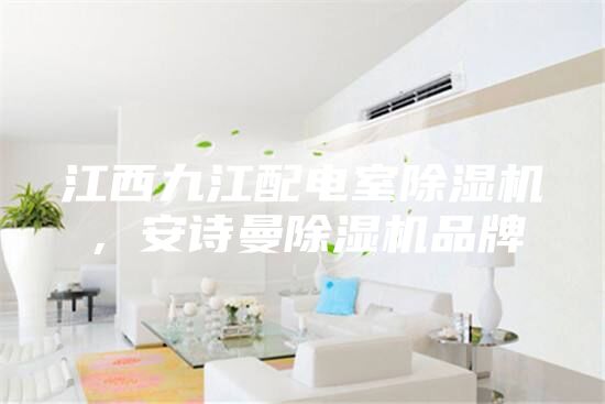 江西九江配電室除濕機(jī)，安詩曼除濕機(jī)品牌