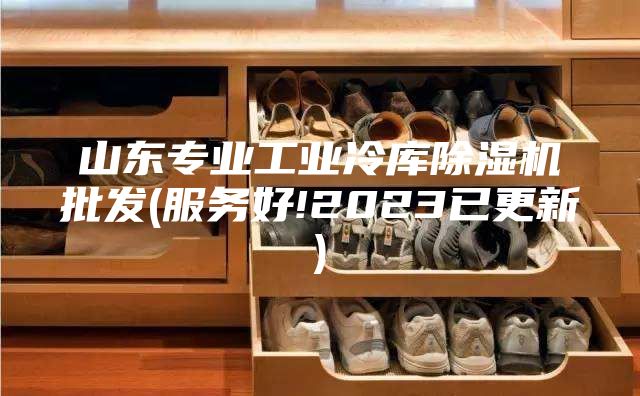 山東專業(yè)工業(yè)冷庫除濕機批發(fā)(服務(wù)好!2023已更新)