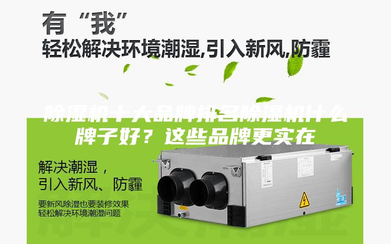 除濕機(jī)十大品牌排名除濕機(jī)什么牌子好？這些品牌更實(shí)在