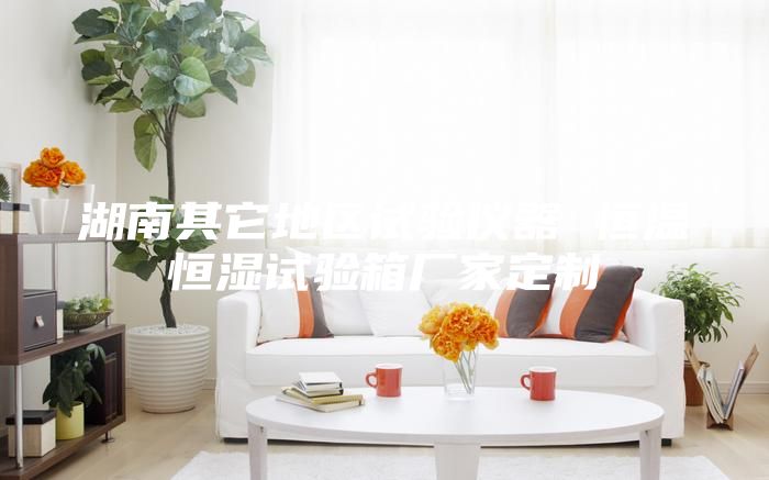 湖南其它地區(qū)試驗儀器 恒溫恒濕試驗箱廠家定制