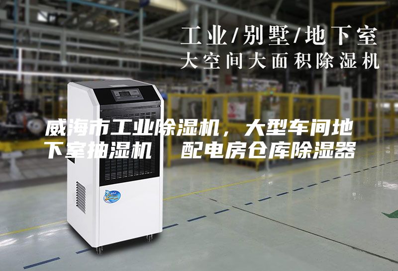 威海市工業(yè)除濕機，大型車間地下室抽濕機  配電房倉庫除濕器
