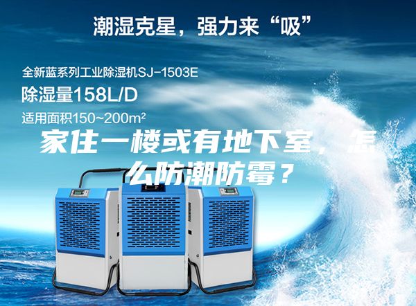 家住一樓或有地下室，怎么防潮防霉？