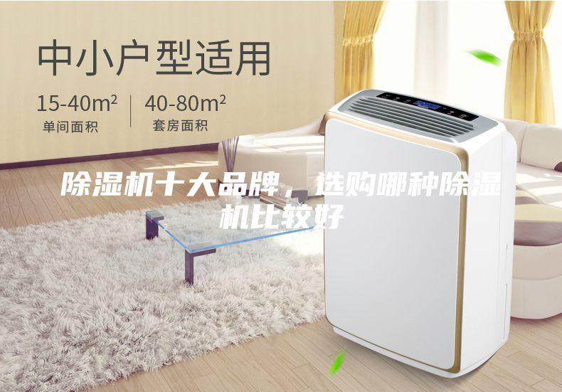 除濕機(jī)十大品牌，選購(gòu)哪種除濕機(jī)比較好