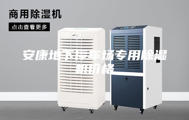 安康地下停車(chē)場(chǎng)專(zhuān)用除濕機(jī)價(jià)格