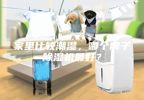 家里比較潮濕，哪個(gè)牌子除濕機(jī)最好？