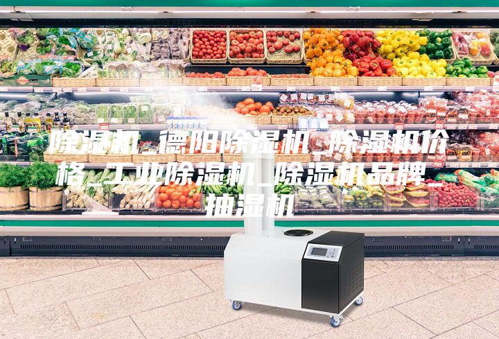 除濕機(jī)_德陽(yáng)除濕機(jī)_除濕機(jī)價(jià)格_工業(yè)除濕機(jī)_除濕機(jī)品牌_抽濕機(jī)
