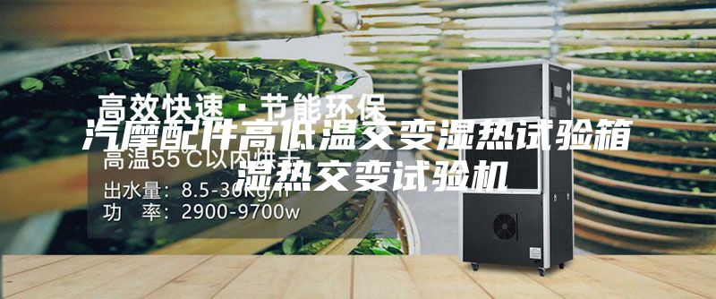汽摩配件高低溫交變濕熱試驗(yàn)箱 濕熱交變試驗(yàn)機(jī)