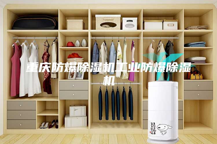 重慶防爆除濕機(jī)工業(yè)防爆除濕機(jī)