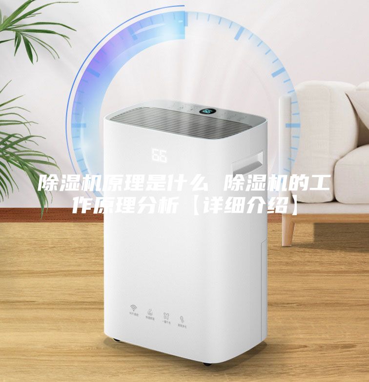 除濕機(jī)原理是什么 除濕機(jī)的工作原理分析【詳細(xì)介紹】