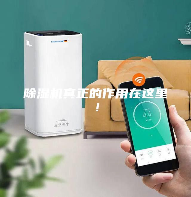 除濕機真正的作用在這里！