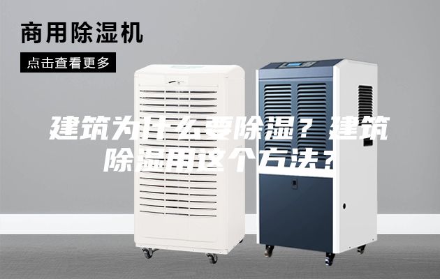 建筑為什么要除濕？建筑除濕用這個方法？