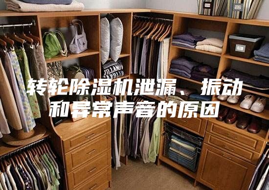 轉(zhuǎn)輪除濕機(jī)泄漏、振動和異常聲音的原因