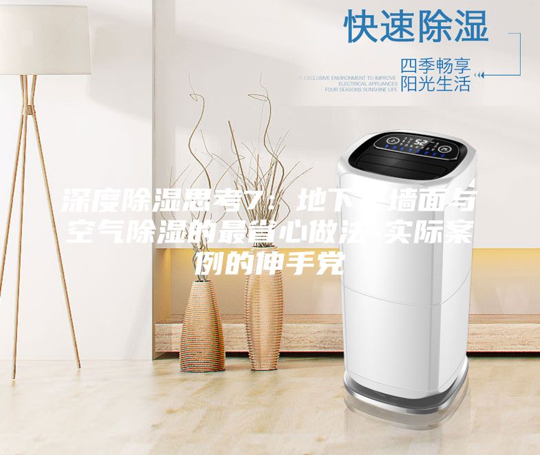 深度除濕思考7:地下室墻面與空氣除濕的最省心做法-實(shí)際案例的伸手黨