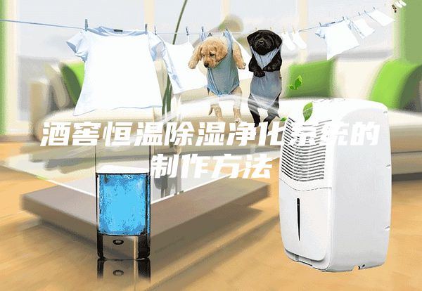 酒窖恒溫除濕凈化系統的制作方法