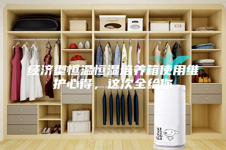經濟型恒溫恒濕培養箱使用維護心得，這次全給你