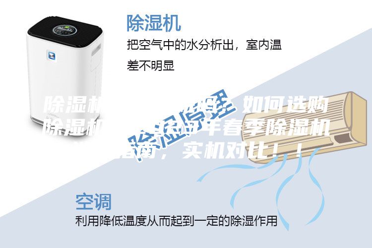 除濕機是智商稅嗎？如何選購除濕機？2023年春季除濕機選購指南，實機對比！！