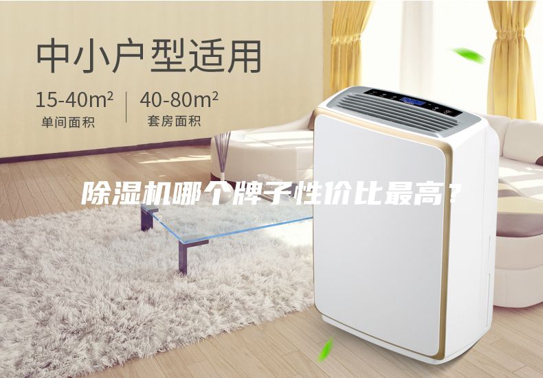 除濕機哪個牌子性價比最高？