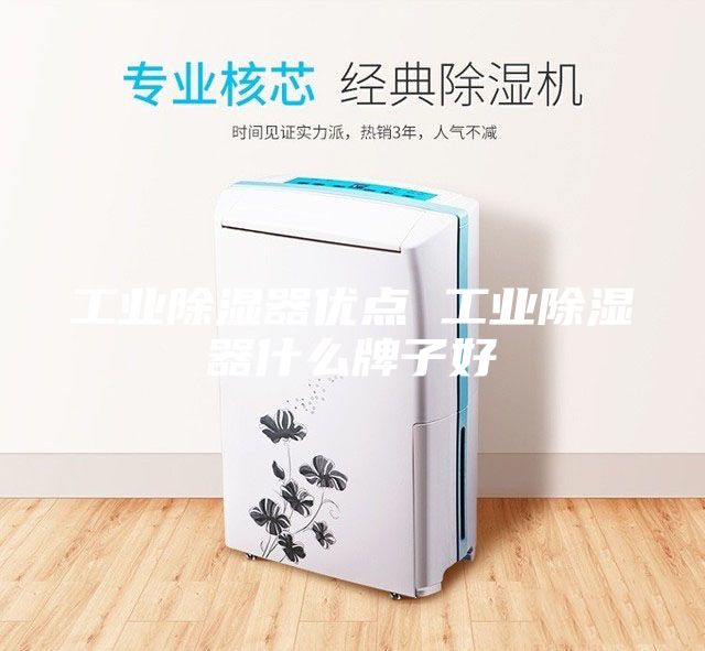 工業(yè)除濕器優(yōu)點(diǎn) 工業(yè)除濕器什么牌子好