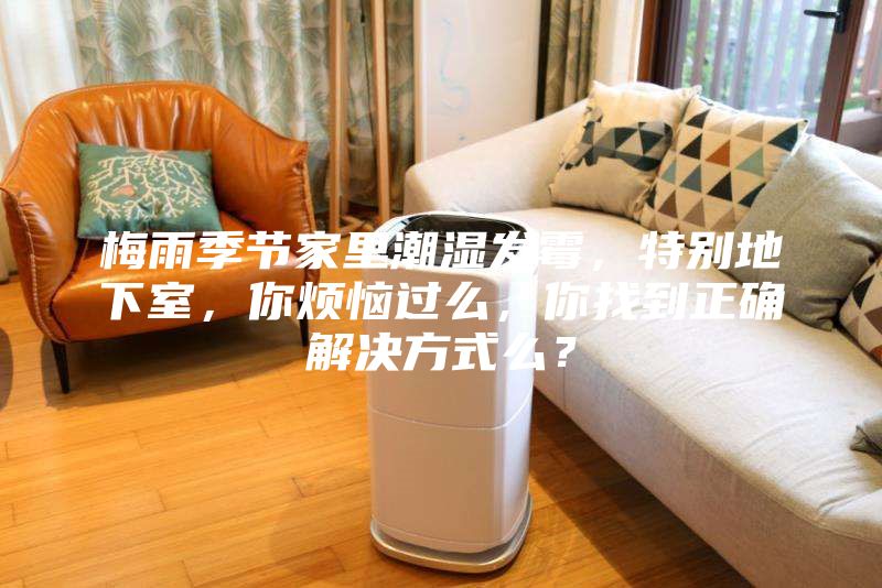梅雨季節家里潮濕發霉，特別地下室，你煩惱過么，你找到正確解決方式么？
