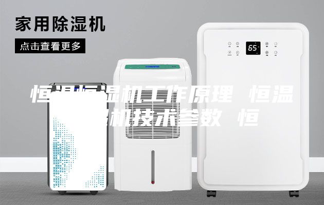 恒溫恒濕機工作原理 恒溫恒濕機技術參數(shù) 恒