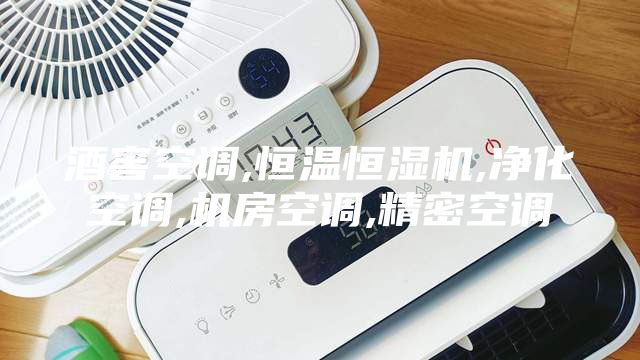 酒窖空調,恒溫恒濕機,凈化空調,機房空調,精密空調