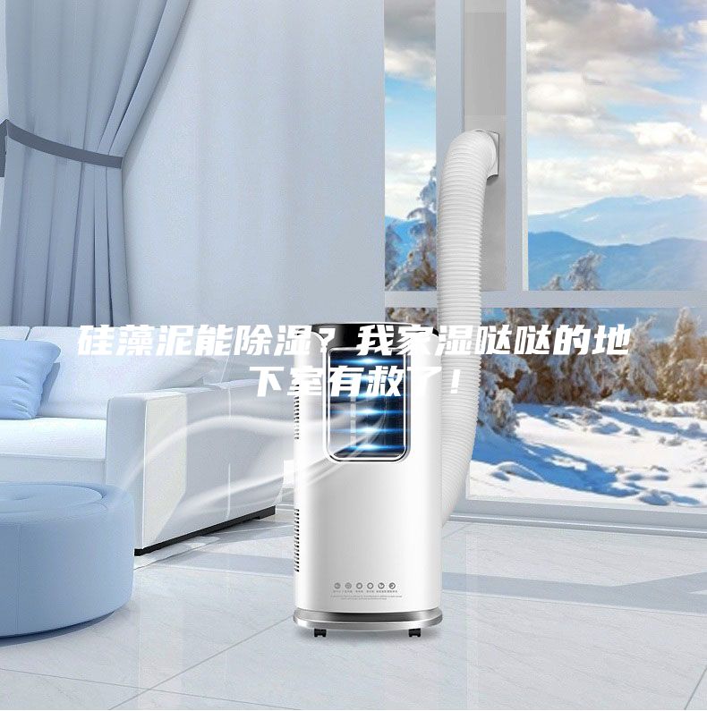 硅藻泥能除濕？我家濕噠噠的地下室有救了！
